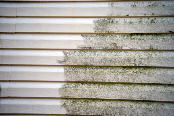 Best Stone Veneer Siding  in Mission Hills, CA