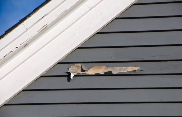 Best Fiber Cement Siding Installation  in Mission Hills, CA