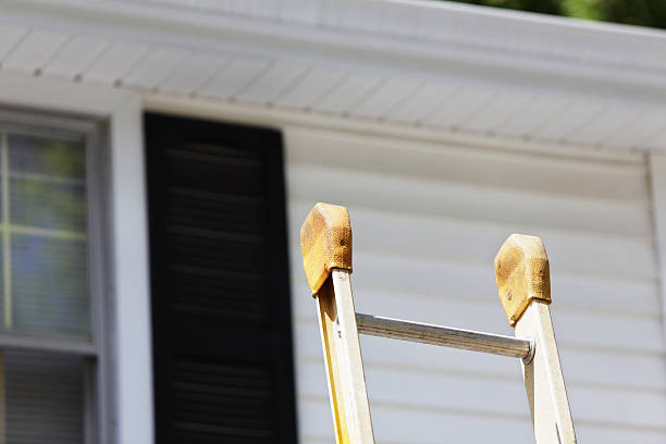 Best Siding Painting and Refinishing  in Mission Hills, CA